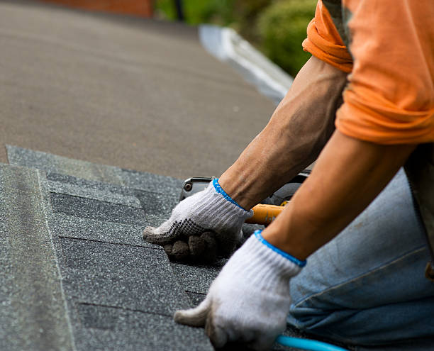 Quick and Trustworthy Emergency Roof Repair Services in Penngrove, CA